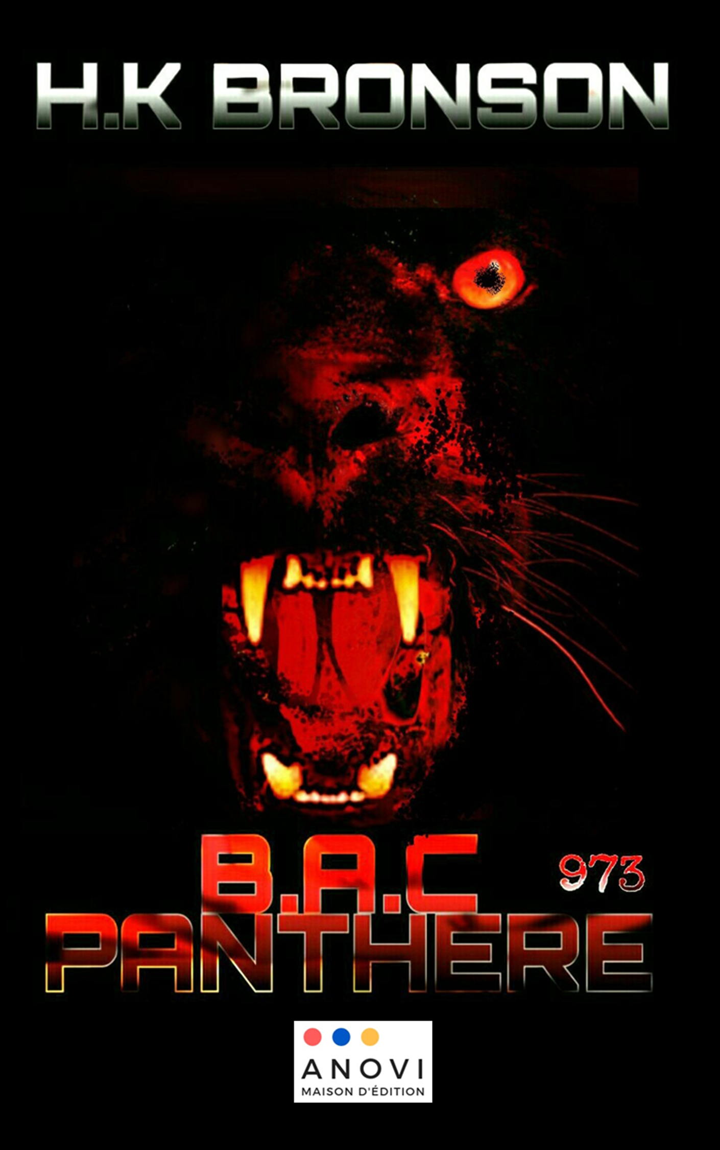 BAC Panthère 973 Image